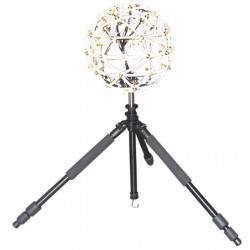 Aray's microphone
