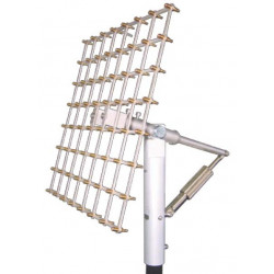 Aray's microphone