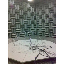 Aray's microphone